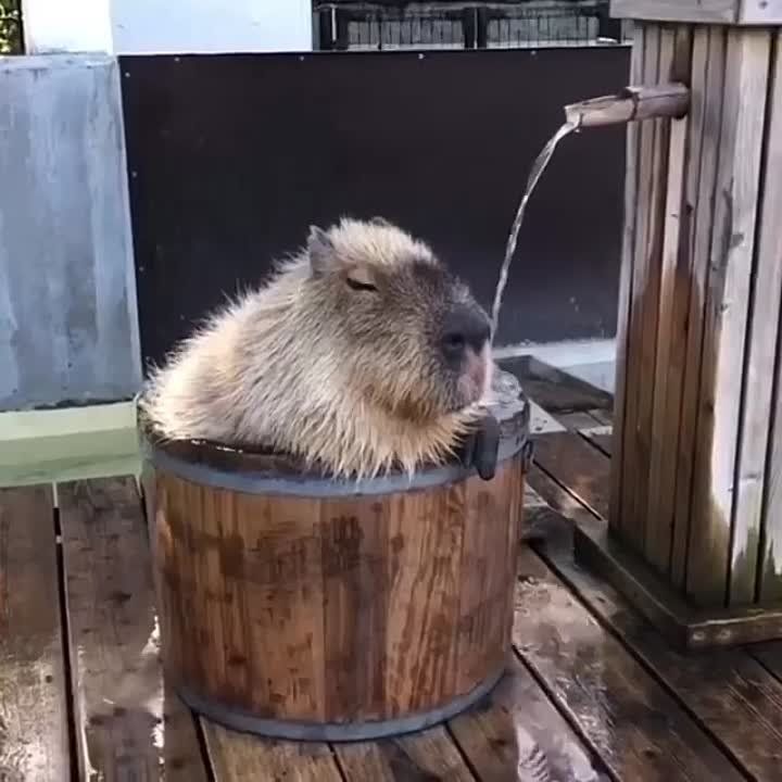 ������� �������� �� ����� ������� ���������