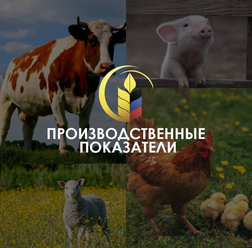 ����� ����������: ������ ������� ���������� ������� ����� �������� �������� ��������, �� ������� ����� �������� ���� �� ������� ������