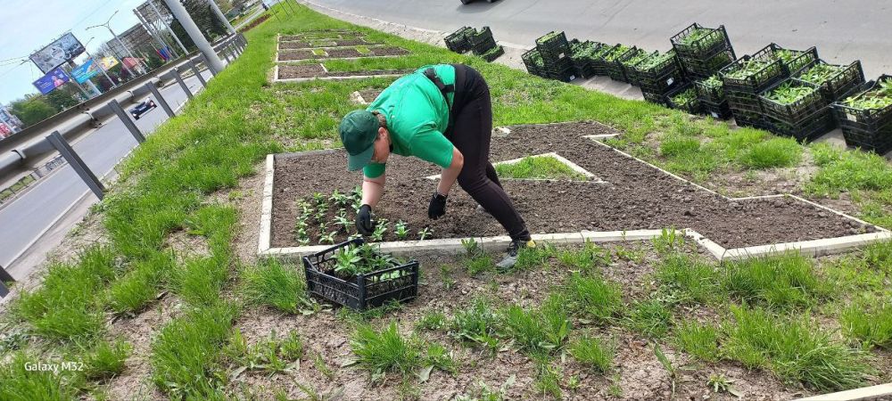 Василий Ткачук: Сегодня, сотрудники МУП АГД "ЗЕЛЕНСТРОЙ КАЛИНИНСКОГО РАЙОНА" посадили 7000 цветов катарантус на надписи ДОНЕЦК- ГОРОД ГЕРОЙ по проспекту Ильича