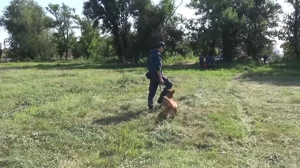 ������� #�����_������_��� � �����������, �������� � ������ ������� ������ �� ������