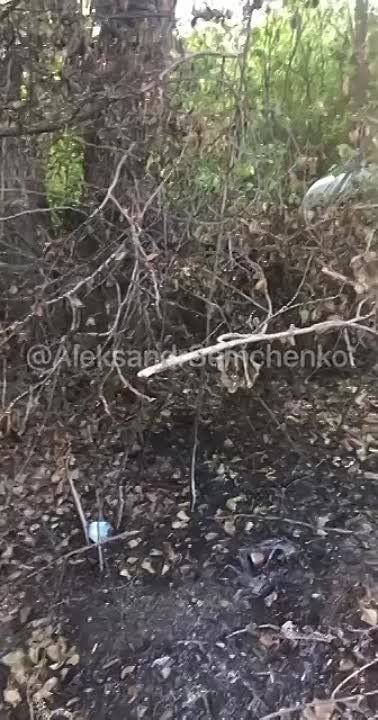 "����� �����������, ���������� ������"