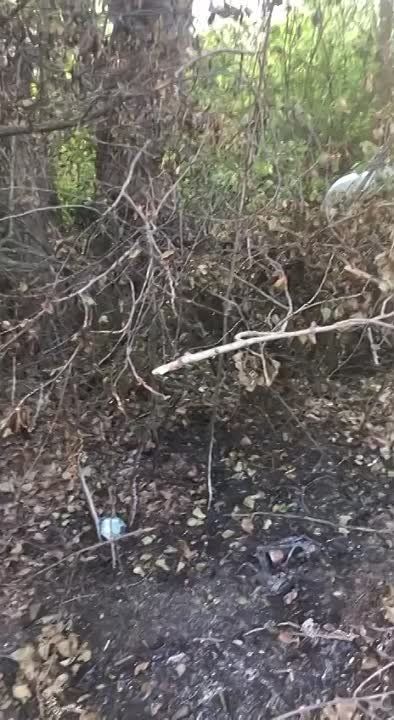 ���� �� ����� ����� �� �������, ���� ������������� �������� �� ��� � ���������