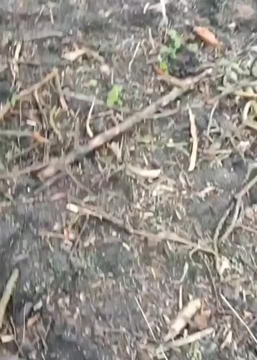 ���� �� ������ ���������� ���������� ������ � ���������������� ����������