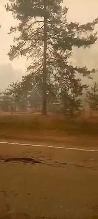 ������� ������ ���� ������������ � �������������