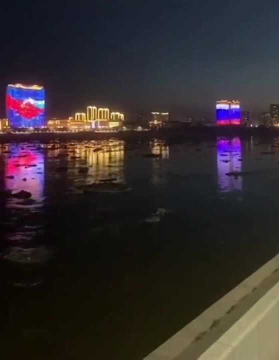 ������������, ��� ����� ���� ���� �� ��������� ����� �����, ��������� ���������