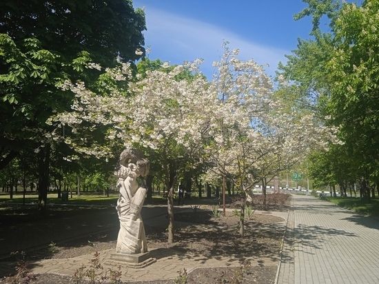 � ��� ������������� ���� ����� ���� ������