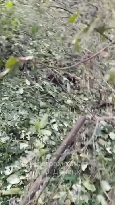 � ����� ����� �� ���������, ��� �������, ������� � �������� �������� �������, �������� ������ ��������� � ��������������
