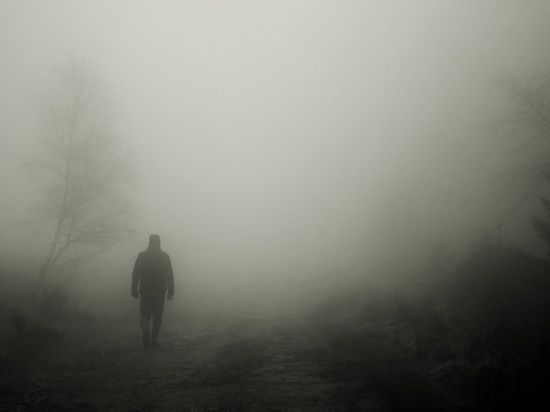 ����������� �� ��������� �� ������ ��������� ��������� �������� ������ � ��������� ���