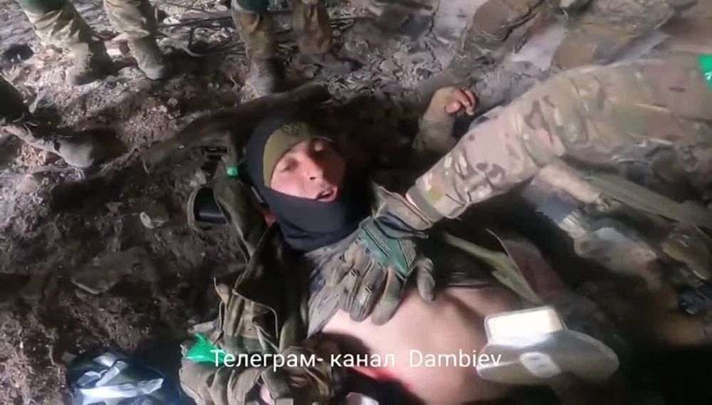 ������ �������: �������� ������� ����������� ������� � ����������