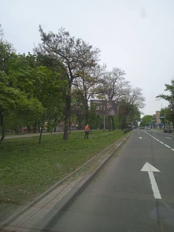 Василий Ткачук: Муниципальное унитарное предприятие администрации г. Донецка "Зеленое строительство Калининского района" работает без выходных, организован покос травы по проспекту Ильича