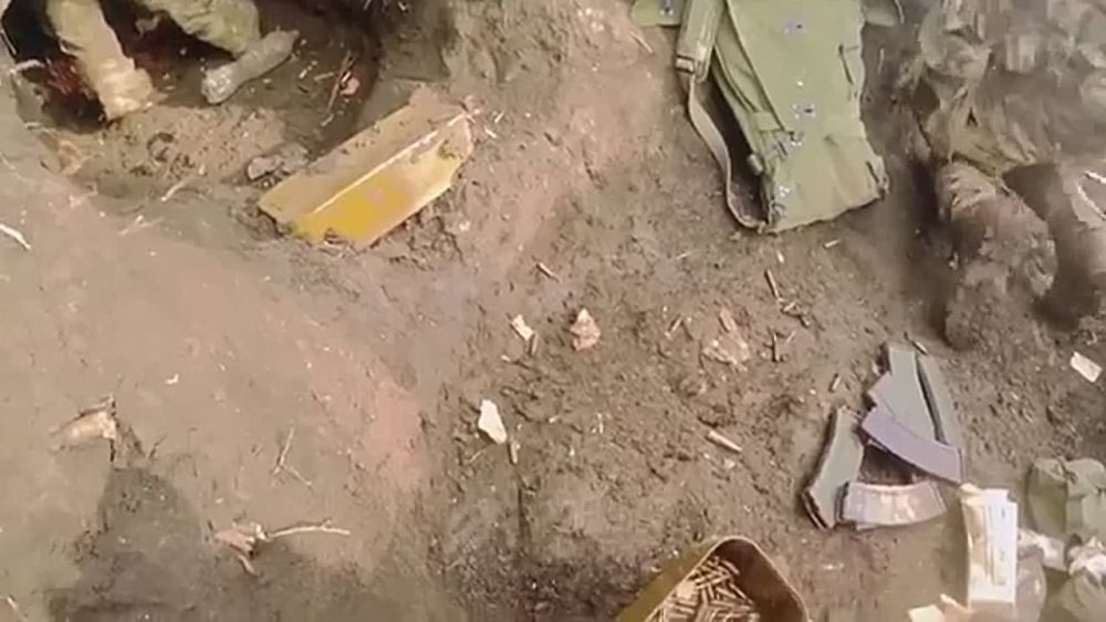 ��� � ������� ������� ��������: ���� �� ���� ������� ������ �������� "�����"