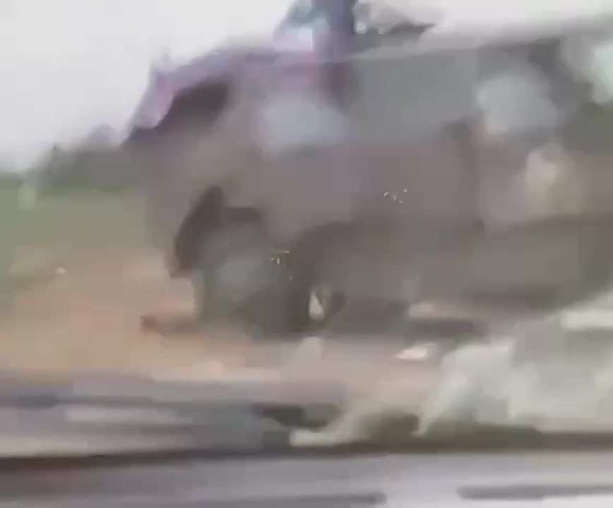 ������������ � ������ ������� ���������� ���������� Dingo, ����-1 � ��-�� ���������� ���