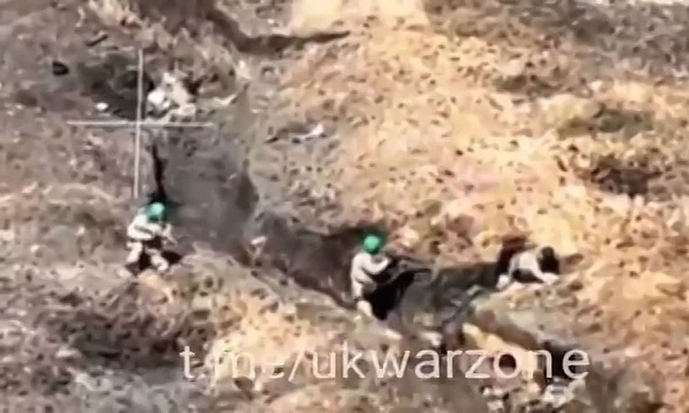 ������ ����� ����� �������, ��������� ����� �������� ��������� ���, �������� �������� ������ �� ����� �������