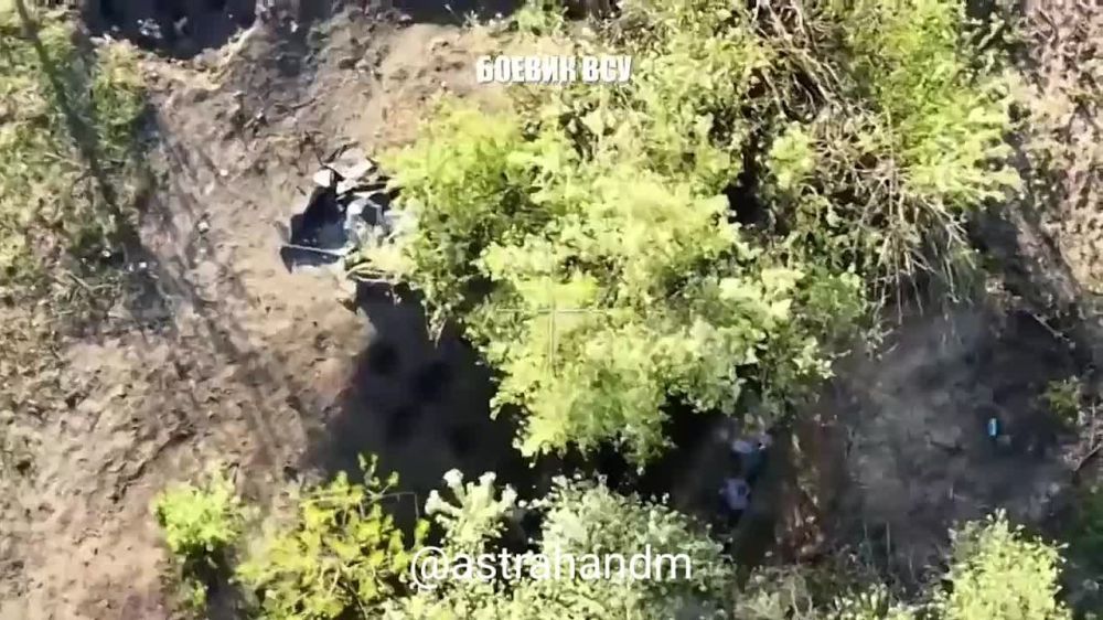 ������� ���������: ������ ������� ������ 1 ��������� ���������� ������� �� ���������� �����������