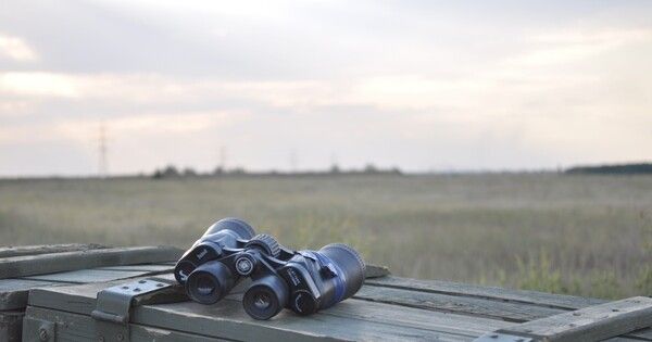 �������� ������ ������������ ��� ��� ����������� �� ������������������� ��������