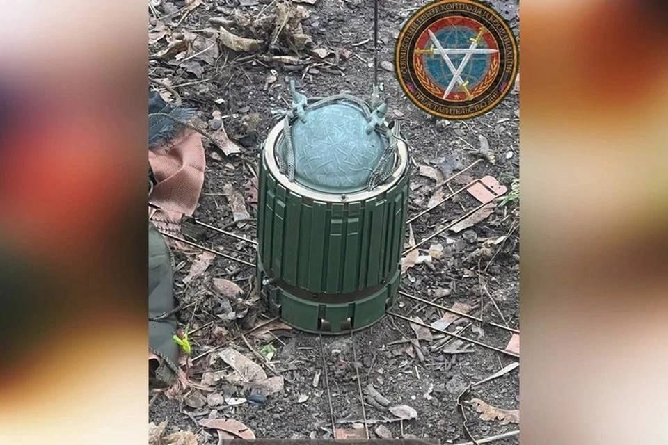 ������� ��� �������� ��������� ����, ����� 11 ��������������