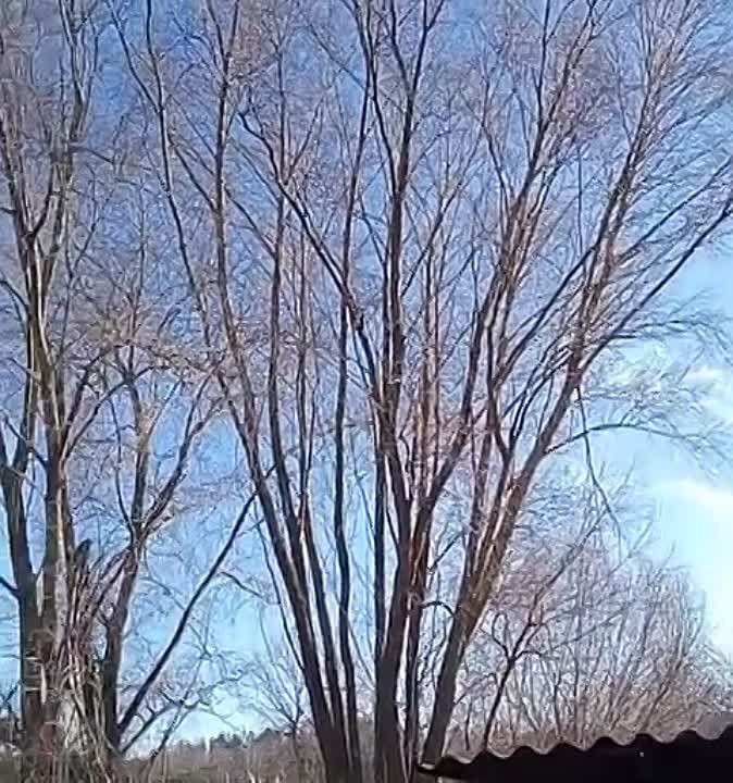 ��������� ������� "��������", ����������� �������� �����������, ������������ ������� ���