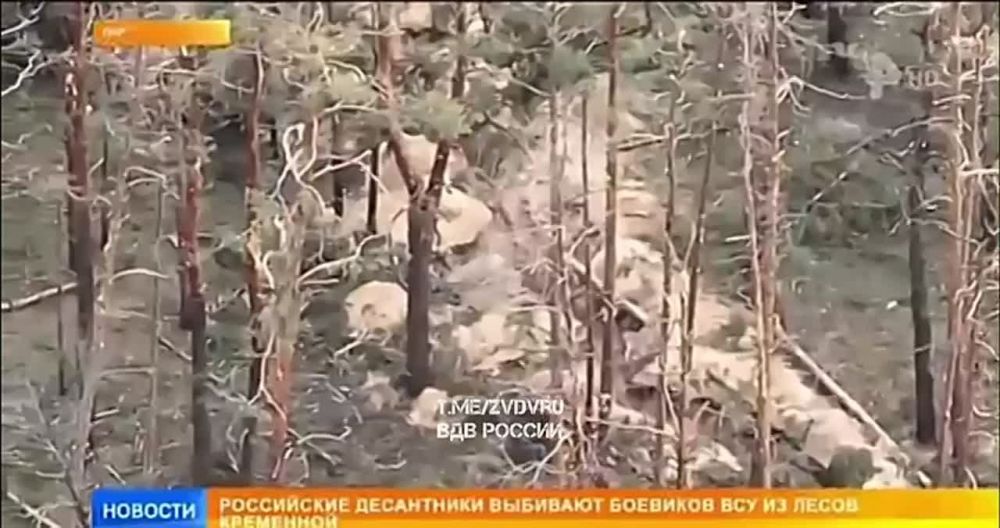 Наши войска продолжают выбивать противника из лесов Кременной