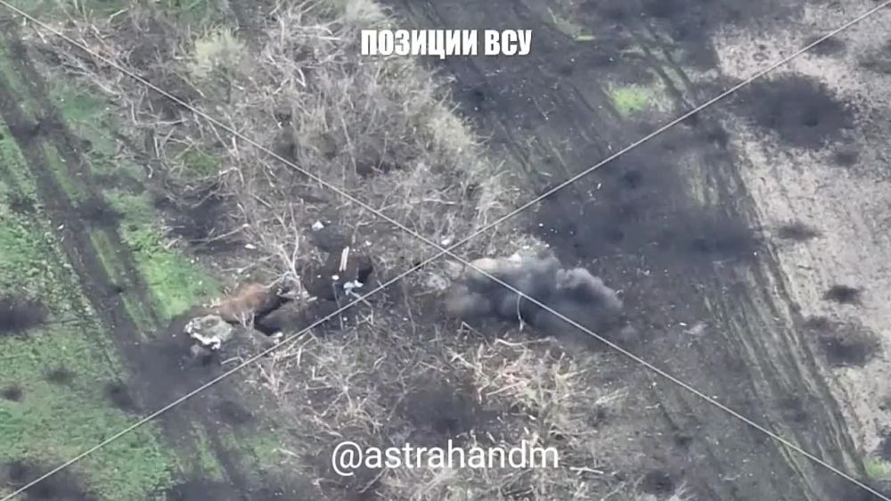 ������� ���������: ������ ���������� 110 ������� 1 ��������� ���������� �������(����� 100 ������� �� ���)