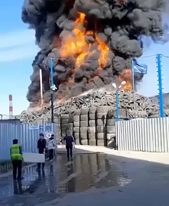 �������� ����� � ������������ ����������� �� �������� �������� �� ������� 1,5 ������ "���������", ���������� ��� ������� � ���������� �������