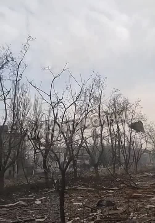 "��*, �*���, ��*���!". � ������� ������������ �����������. ����� �� ������� ���
