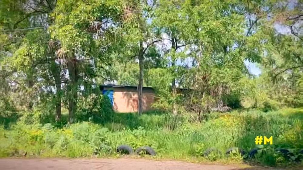 ������� � �������.... �����: ������ �������