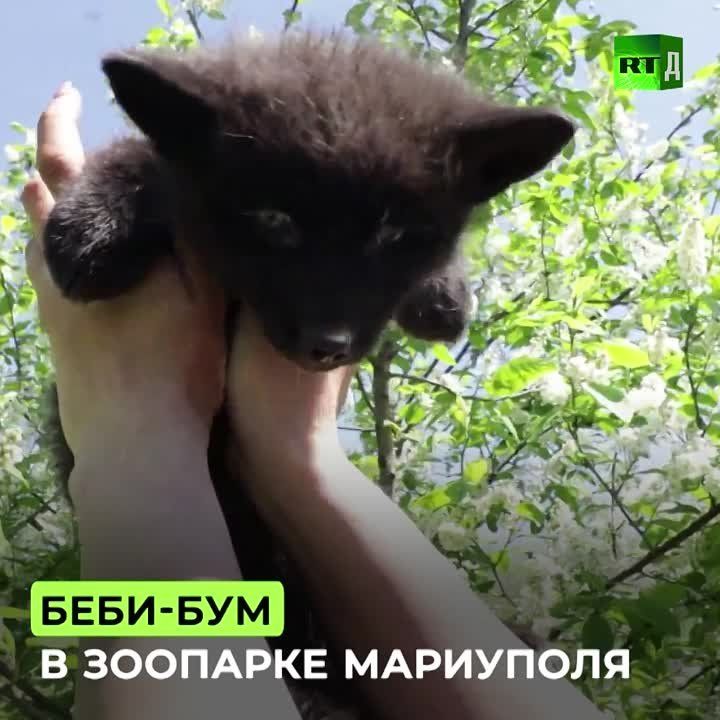 � ������������� �������� �� ���� �������� ����� �����, ������ � ���� �������� �����