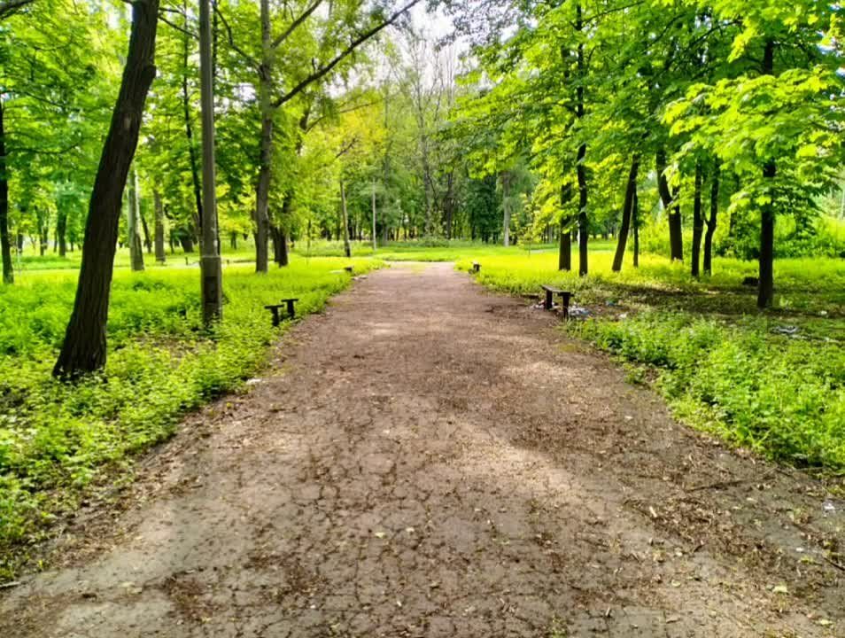 ���� ������: ��������� � ��������� ������ ������ �������