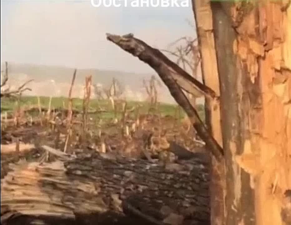 ��������, ����� �� ���