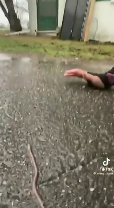 �� ������� ����� ��������� ���������� �� �������, �������� ��������� ���������� �������������� ������ �������� ��� ������ ������ ��������