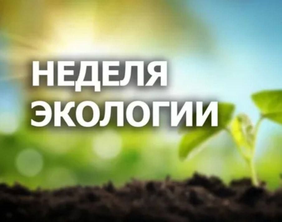 � 15 ��� � ���������� ���������� ������������� ������