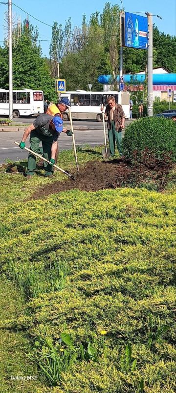 Василий Ткачук: Муниципальным унитарным предприятием администрации г. Донецка "Зеленое строительство Калининского района"