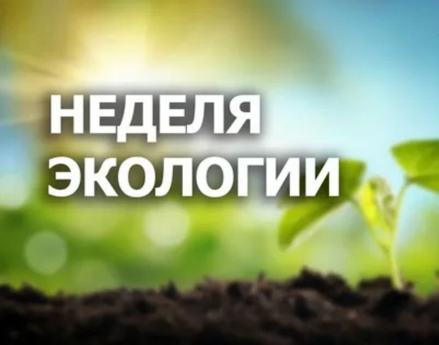 �������� ������: � 15 ��� � ��� ���������� ������������� ������