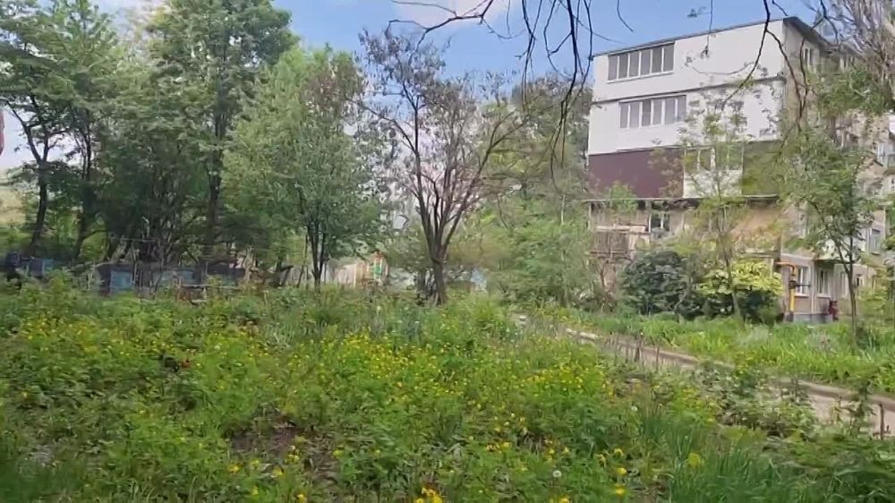 ������ �� 1-� �������� � ������������ ������ �������