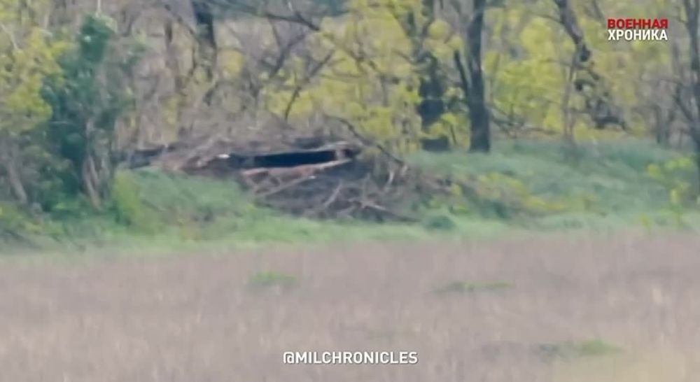 �����, ���� ���������! ���������!� ���������� �������� �������� �� �������