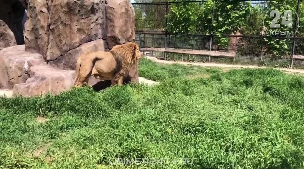 ��� ������ �� ��������� ��� �������� � �������� ������-�����