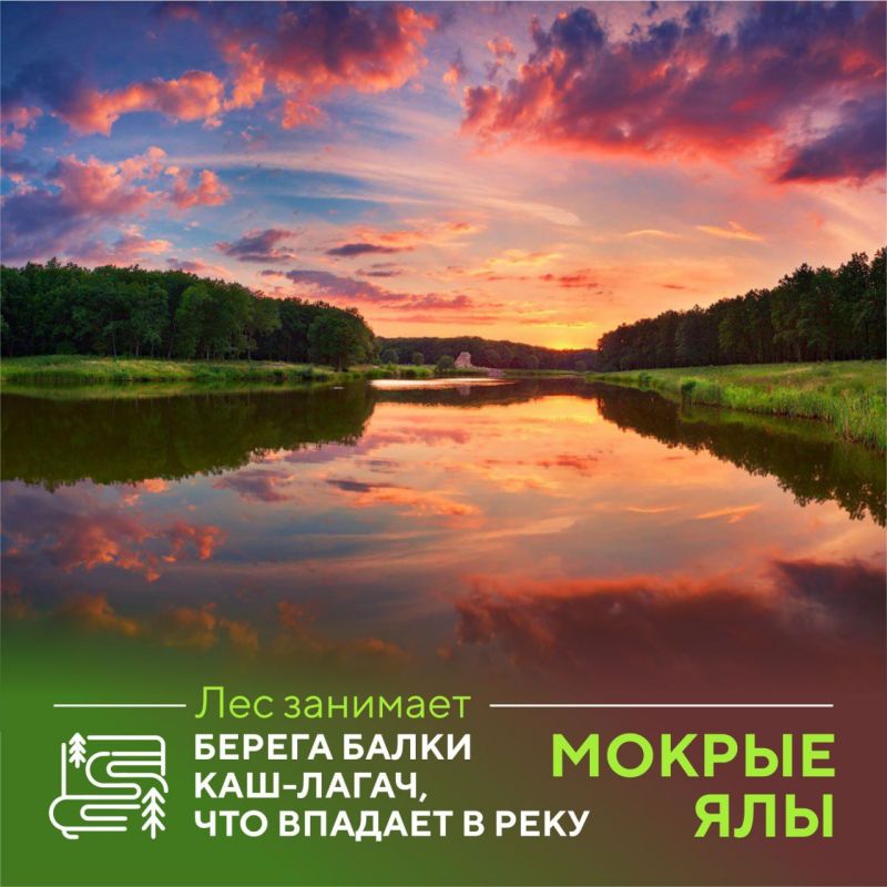 ����� �������: �� ����������� ������ ������������� ��������-������ ��������, � ������� �� ���� ���������� ������� �������, ��������� ���������� � ����� ����������������� ���� ��� �� ����� �� ����� ������� ����������� �����