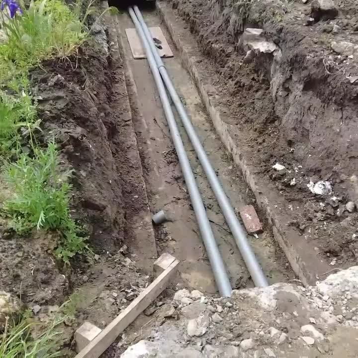 ����� �����: ����������������� ����� ���� �� ��������, �������� �������� ������� ������� ����� �������� � ������� ���� � ���������� ������ �������