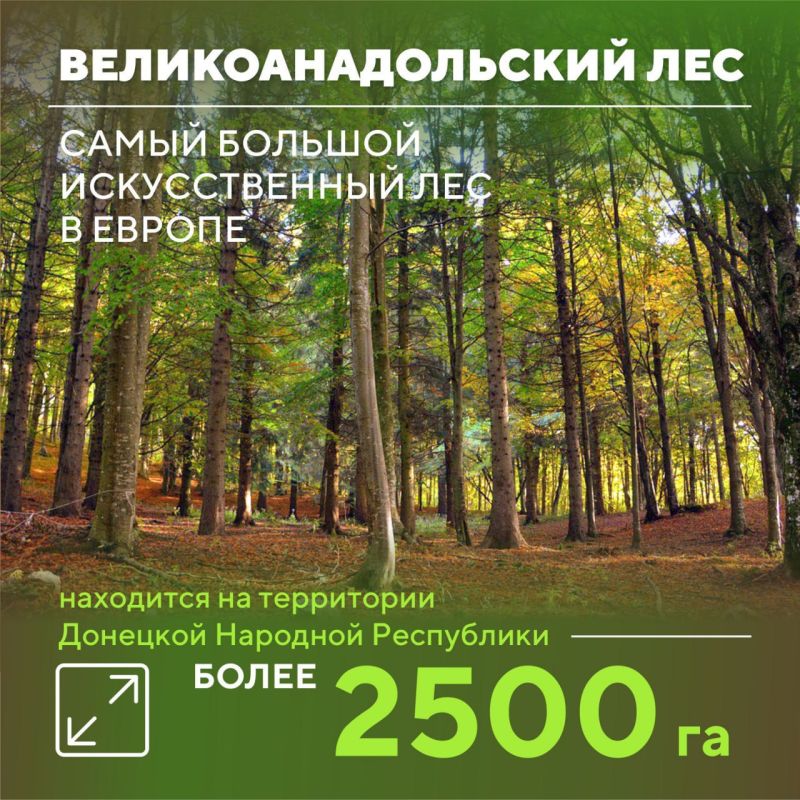 �� ���� - ����������������� ���, ������ ����� � ������ �������� �������� ����������
