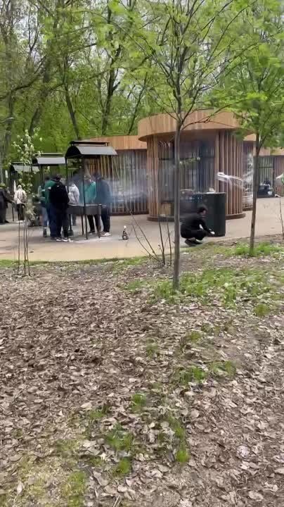 ������ �� �������: � ������ ����� �������� ������� ������� ������� ��� ��������