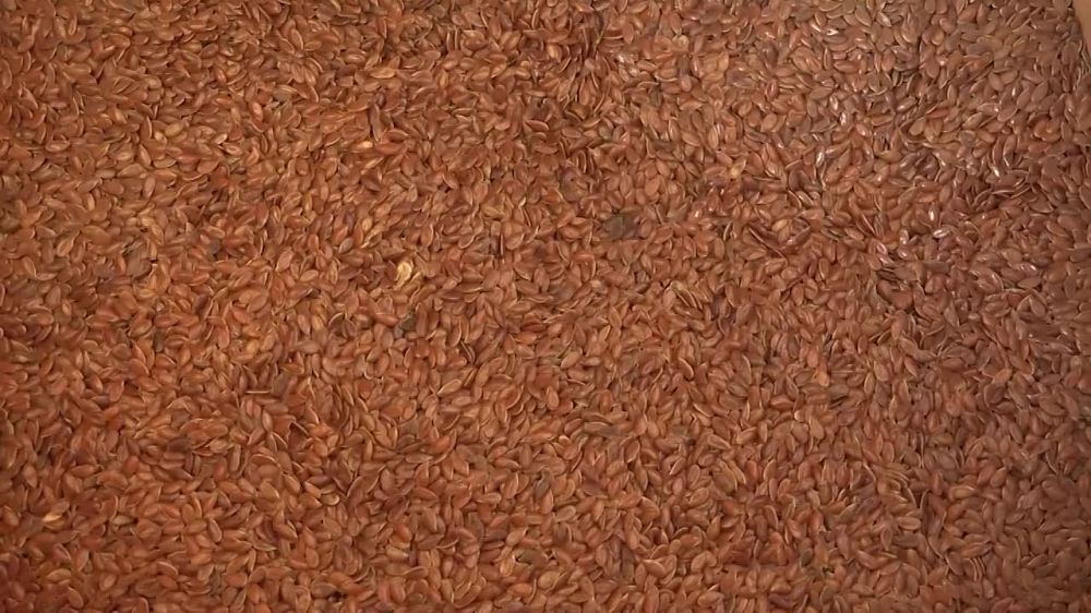 ����� �������: ������ ��������� ������, ����������� ��������� ������� ����������