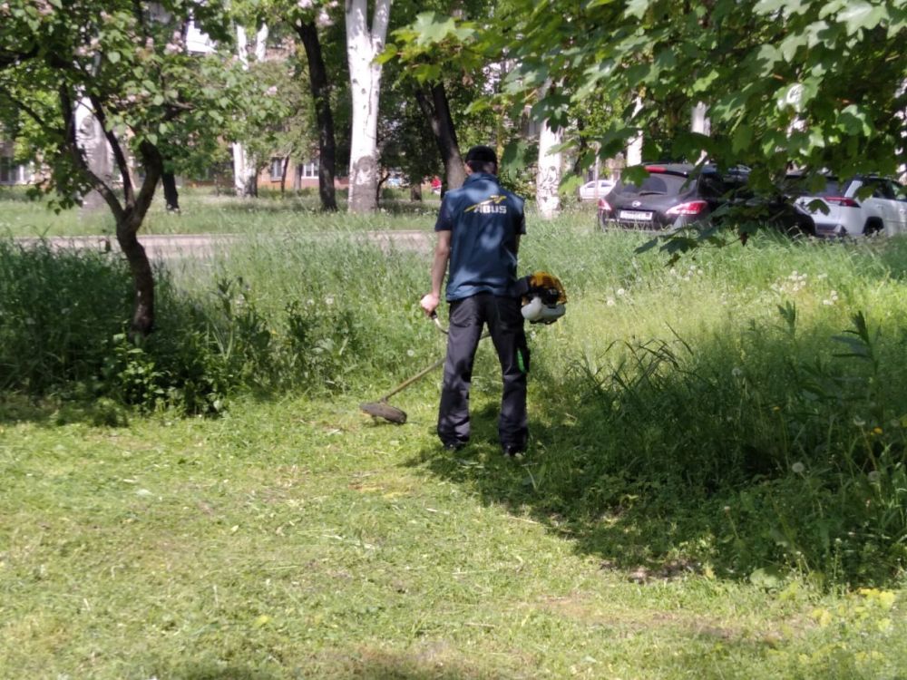 Василий Ткачук: Муниципальным унитарным предприятием администрации г. Донецка "Управляющая компания Калининского района г. Донецка" ведутся работы по покосу травы на придомовых территориях многоквартирного жилого фонда