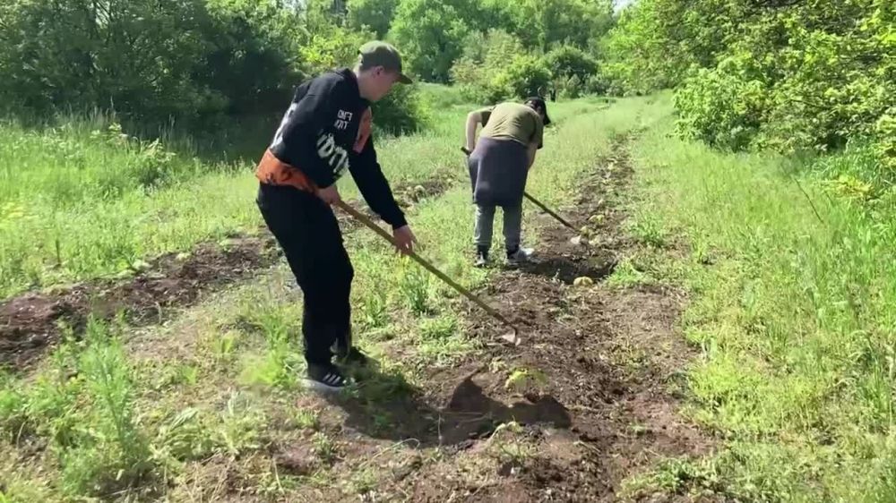 ��� ������ �� �������� �����