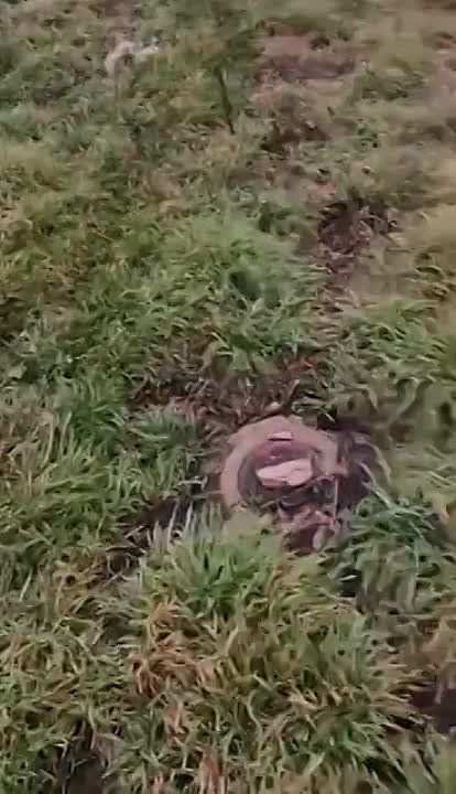 ��� �����:. ������� �����!