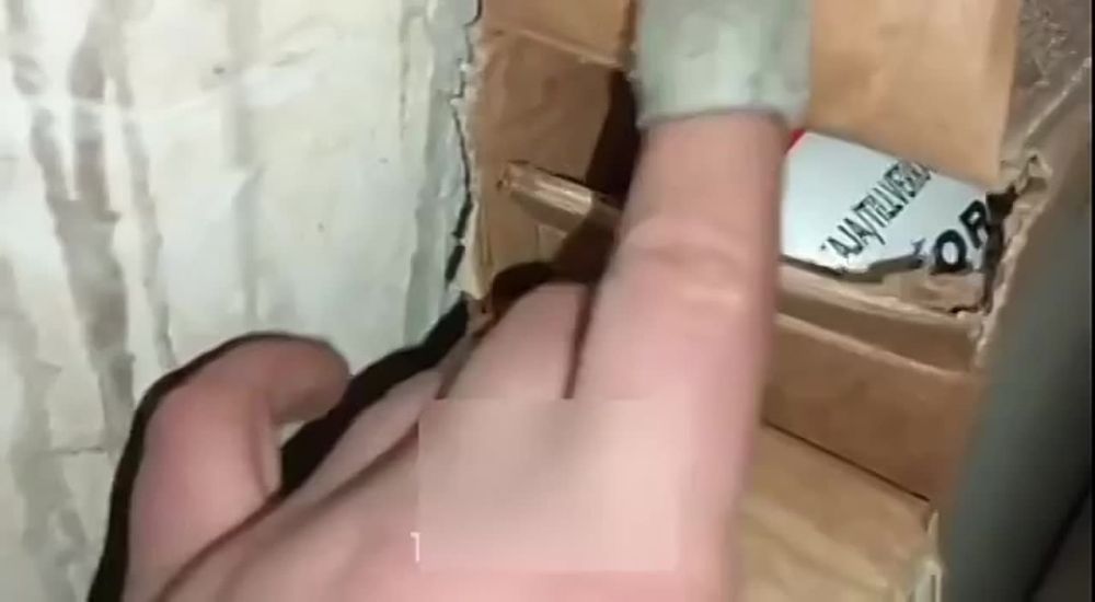 ��� � ������� ������������ ������ � ������� ��������