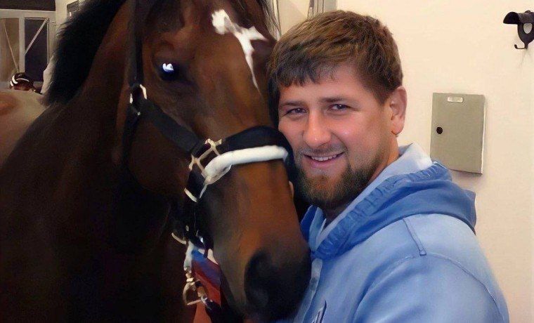 �������� "����". ���� ����� ������, ��� ��-�� ������� � "��������"!