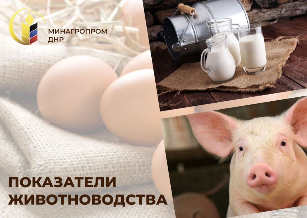 � ������ ���� ����������������� ������������� ���������� �����������: