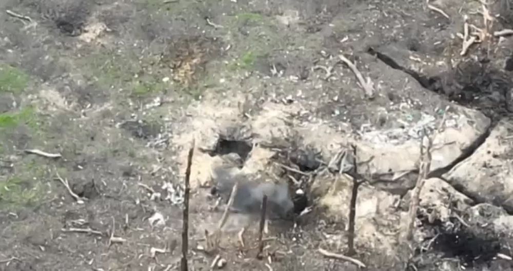�������� �����: �� � ���������� ������ �� ��������� �����������