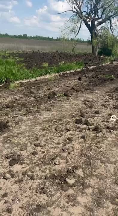 ��������� �����������: ��� ����������� ��������� - ��, ��� �� ���� ����� ����� ���. ���� �������� ����� ������� ����� ����������� ��� �����������, ����� �� ����������� ���������� ��� �������, ���� ����������� �������, ������ ��������� �������� �������