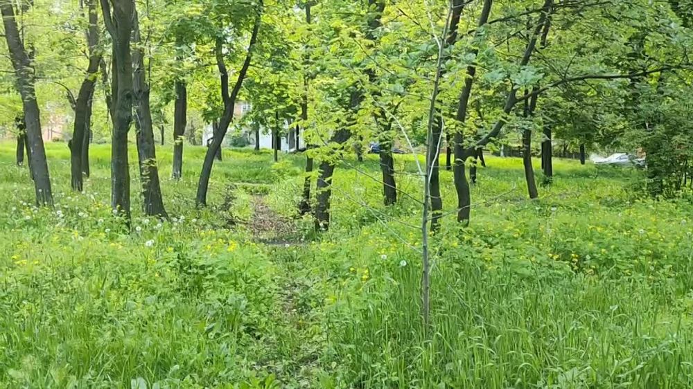 Василий Ткачук: Голосуй за парк Строитель (Марабушта) в Калининском районе г.Донецка